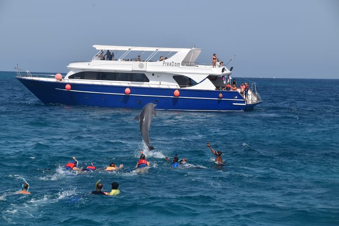 Dolphin House and Banana Boat Fun from Hurghada - The real attraction: wild dolphins near Hurghada