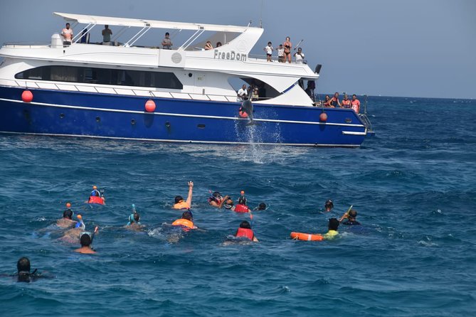 Dolphin House and Banana Boat Fun from Hurghada - Hotel pickup and the trip to the marina