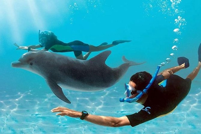 Dolphin House By Private Speed Boat & Drinks & Transfer-Hurghada - A Fast Ride Out of Hurghada