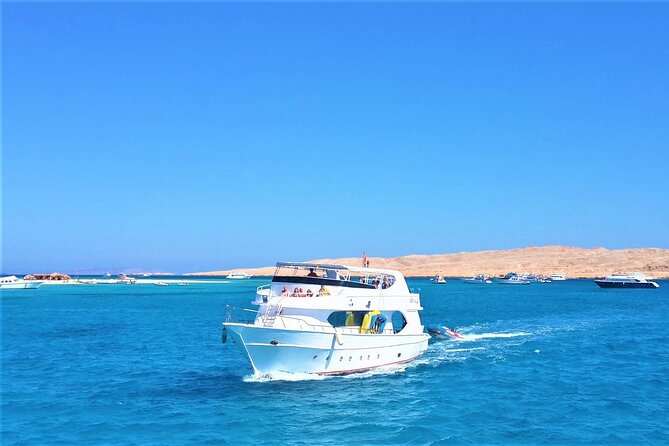 Dolphin House By Private Speed Boat & Drinks & Transfer-Hurghada - Guides Can Shape the Morning