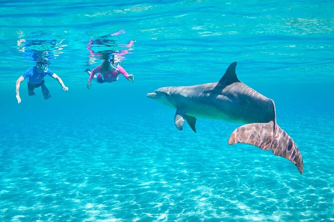 Dolphin House By Private Speed Boat & Drinks & Transfer-Hurghada - Weather, Families, and Physical Ability