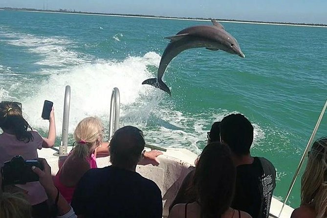 Dolphin House By Private Speed Boat & Drinks & Transfer-Hurghada - Snorkeling Above Red Sea Coral