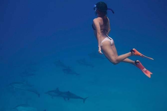 Dolphin House Royal VIP Special Day Snorkeling Sea Trip With Lunch - Hurghada - Two snorkeling stops and the Red Sea reefs