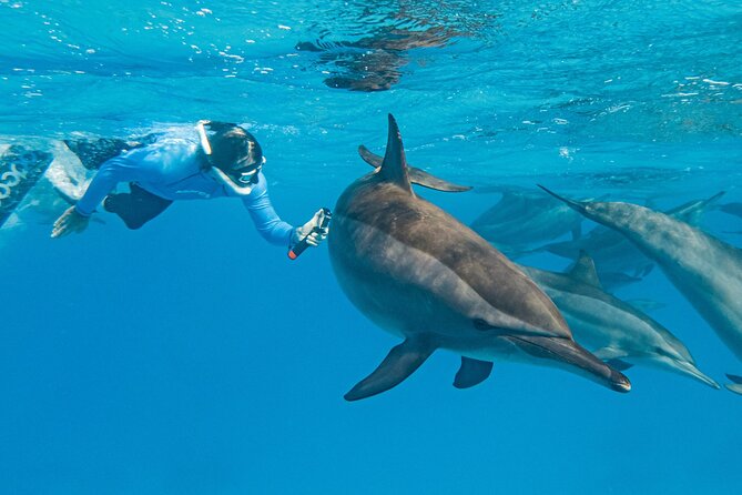 Dolphin House Samadai Reef Boat Snorkeling Trip from Marsa Alam - The first snorkeling session at about 10:30 a.m.