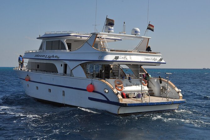 Dolphin House Snorkel & Water Fun Activity with Lunch - Hurghada - Who will enjoy this boat trip most