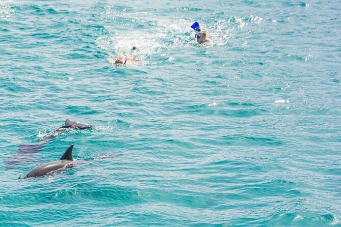 Dolphin House Snorkeling Trip + Water Sport With Lunch - Hurghada - Lunch, drinks, and time to recover