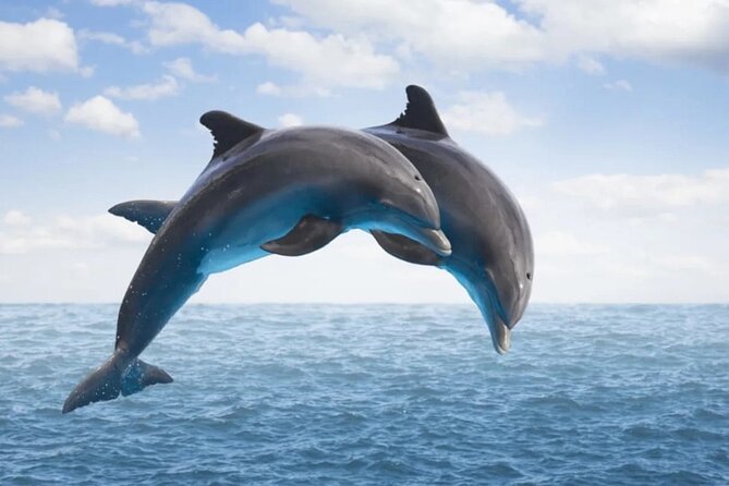Dolphin House Snorkeling,Water Sports, Lunch & Transfer- Hurghada - The boat ride to the Red Sea snorkeling area