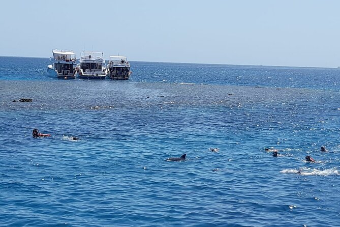 Dolphin Tour Banana Boat from Soma /Sahl Hasheesh/makadi/Safaga - Lunch, coffee, tea, and soft drinks