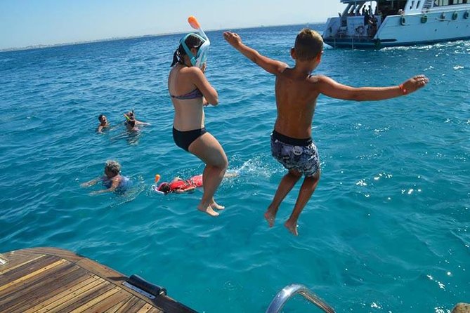 Dolphin Tour in Hurghada - The crew, safety, and general atmosphere