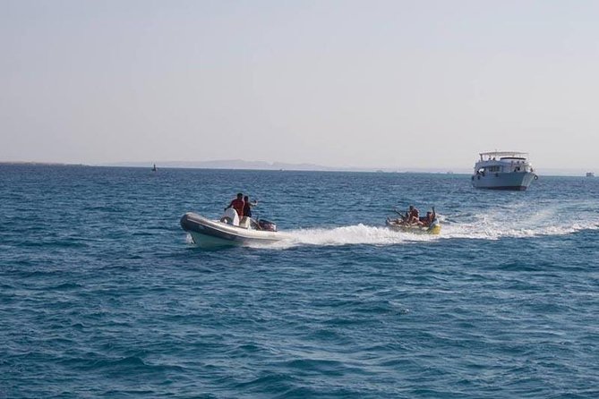 Dolphin Tour in Hurghada - The first snorkeling stop and what you may see