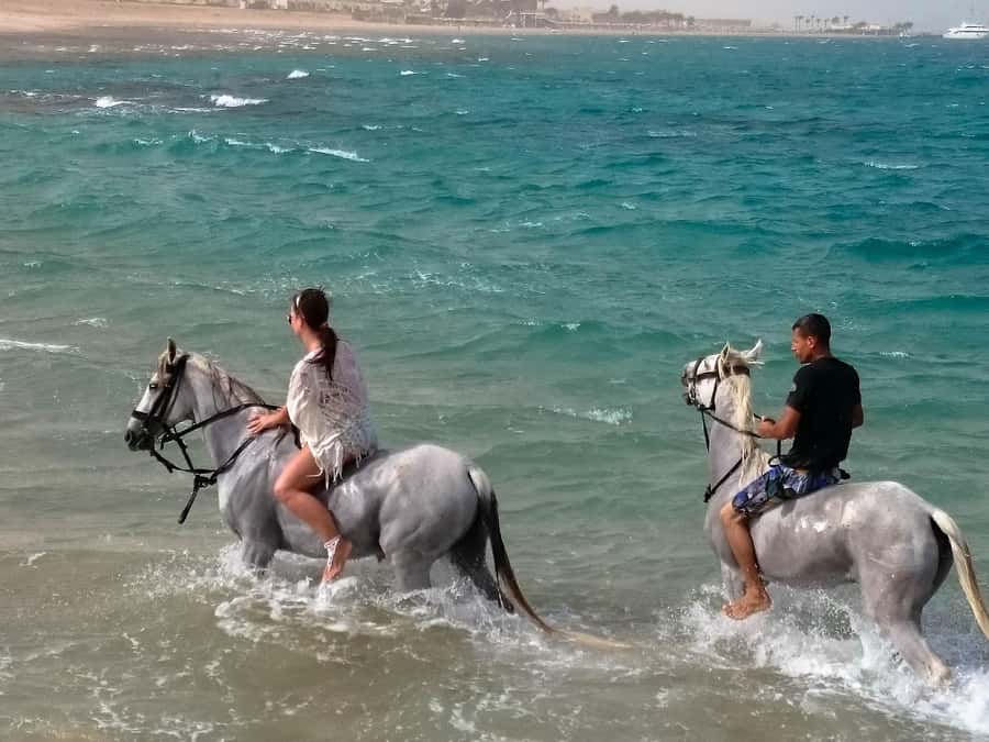 El Gouna: Desert & Sea Horse Riding With Swimming Optional - The four-hour VIP ride and Red Sea swim