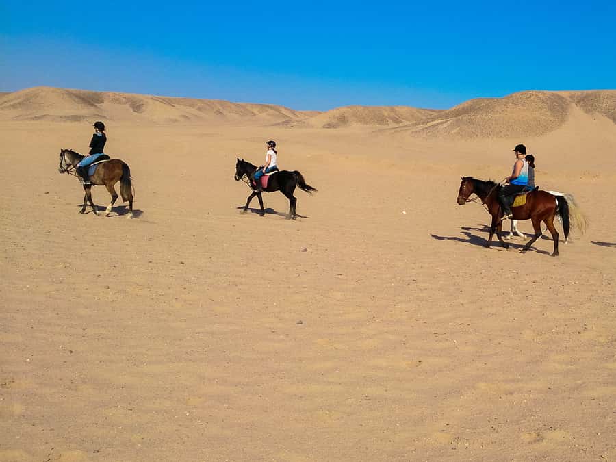 El Gouna: Desert & Sea Horse Riding With Swimming Optional - Is $26 good value?