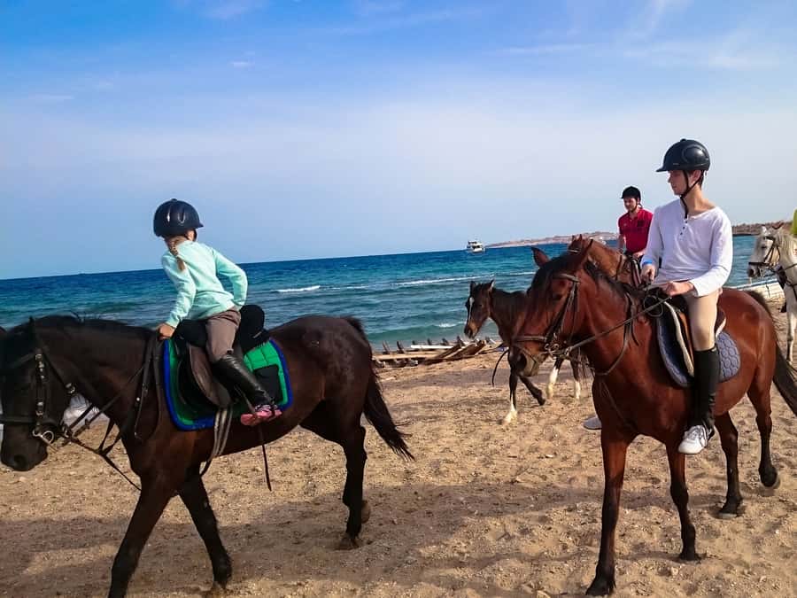 El Gouna: Desert & Sea Horse Riding With Swimming Optional - Who should choose this ride?
