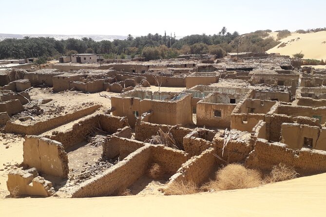 Enjoy safari The black and white desert two night 3 days - Food, drinks, and the meaning of V.I.B. camping