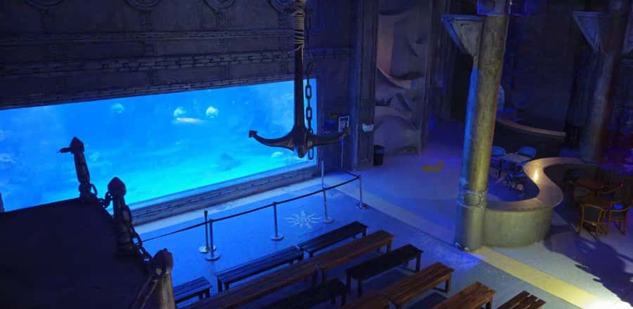 Entry Ticket: Grand Aquarium Hurgada - Twenty-two aquariums show more than Red Sea fish