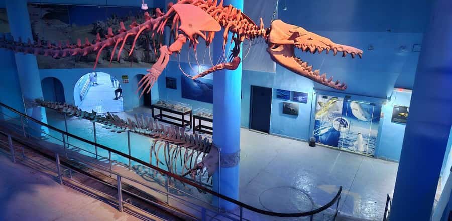 Entry Ticket: Grand Aquarium Hurgada - Is $33 good value?