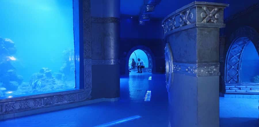 Entry Ticket: Grand Aquarium Hurgada - The rainforest changes the mood