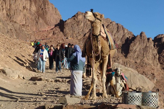 Excursion to Mosesberg and Kathrinen Monastery from Sharm el Sheikh - The climb from darkness to the final 700 steps