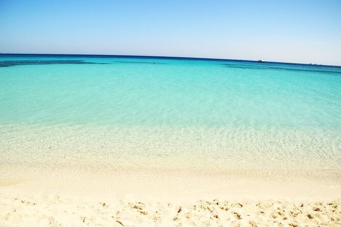 Excursion to the White Island & Ras Mohammed National Park from Sharm El Sheikh - Crew service and optional underwater activities