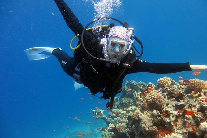 Excursion to Tiran Island by boat - Reefs near Tiran Island and the possible wreck stop