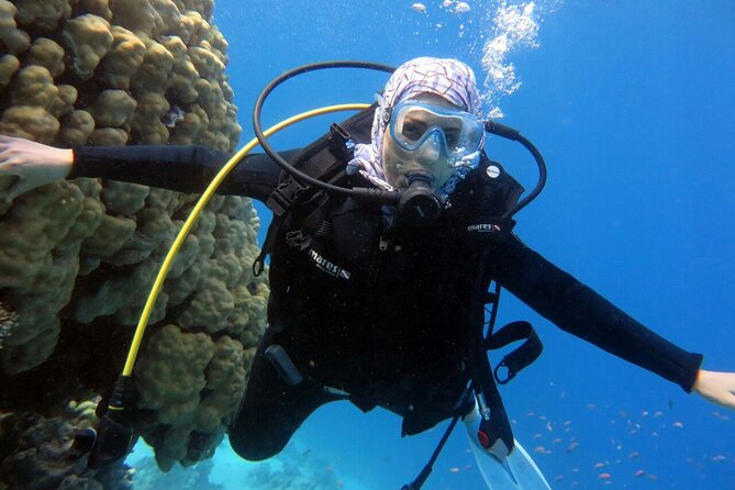 Excursion to Tiran Island by boat - Lunch, drinks, and the timing problem