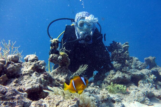 Excursion to Tiran Island by boat - Equipment, fees, and the real cost