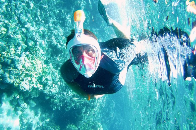 Excursion to Tiran Island by boat - Hotel pickup and the trip to the port