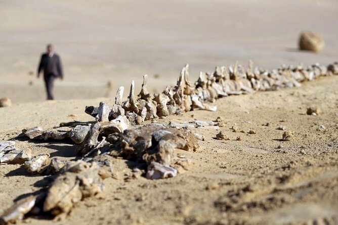 Fayoum 4x4 Safari Adventure, Sandboarding, Lunch, Felucca - Magic Lake and lunch at the desert camp