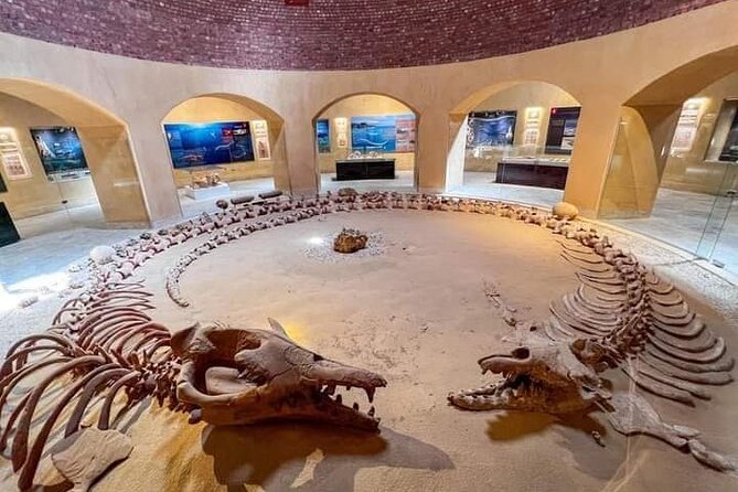 Fayoum Oasis Tour Hidden Gem Wadi El Rayan & Valley of the Whales - The 4x4 ride into Whale Valley
