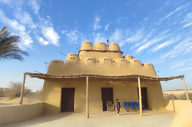 Fayoum Oasis Tour Hidden Gem Wadi El Rayan & Valley of the Whales - What the $130 price really covers