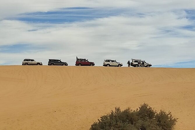 Fayoum Oasis Tour Hidden Gem Wadi El Rayan & Valley of the Whales - Practical details before you reserve