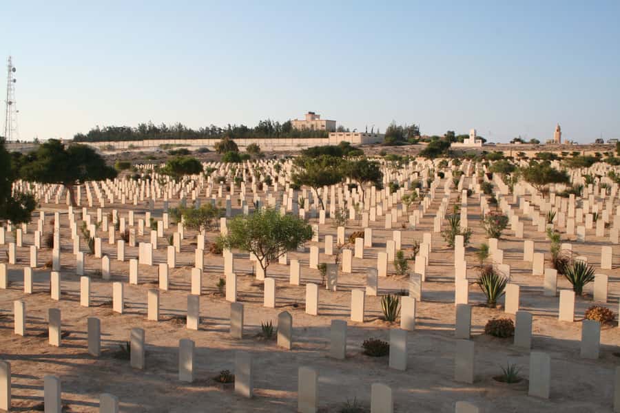 From Alexandria: El Alamein Day Trip - El Alamein town and the Mediterranean setting
