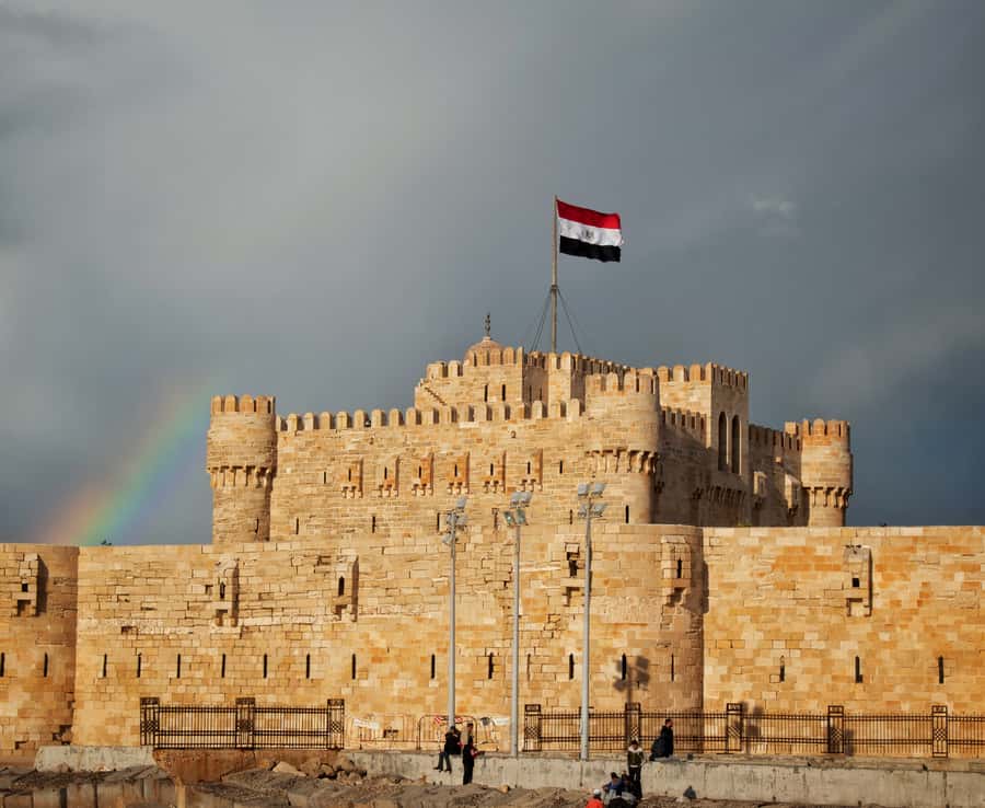 From Alexandria: Highlights of Alexandria Full City Tour - Transport, timing, and the value of $65