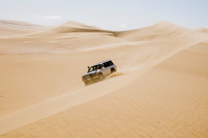 From Cairo 4x4 Safari, Camel Ride, Magic Lake, Waterfalls & Lunch - Key points to know before you book
