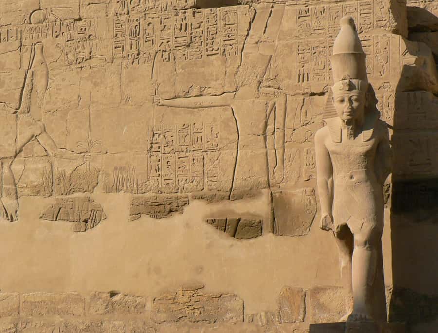 From Cairo: 5-Day Tour with Nile Cruise, Balloon, & Flights - Who will enjoy this Egypt itinerary?
