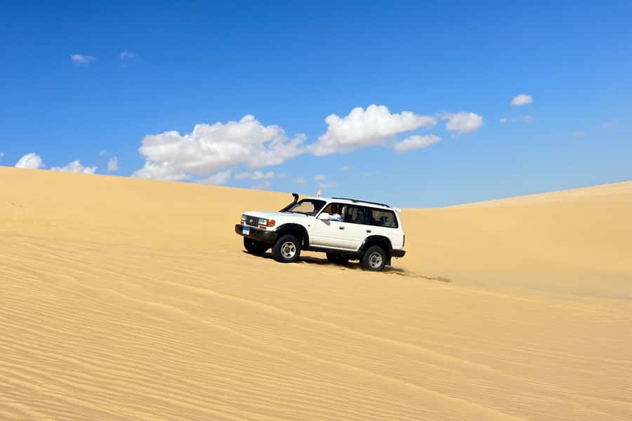 From Cairo: Desert Safari, Camel Ride, Magic Lake, & Lunch - Key points at a glance