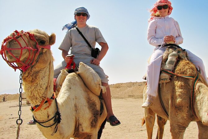 From Cairo: Desert Safari, Waterfalls, Sand boarding and Camel ride with Lunch - What about quad bikes?