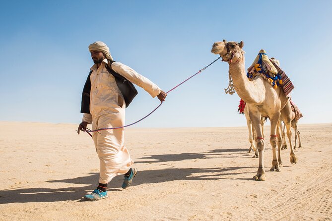 From Cairo: Desert Safari, Waterfalls, Sand boarding and Camel ride with Lunch - Waterfalls in a dry country
