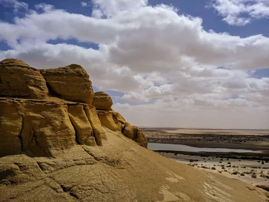 From Cairo: Full-Day Tour to El Fayoum - The guides and drivers can shape the day