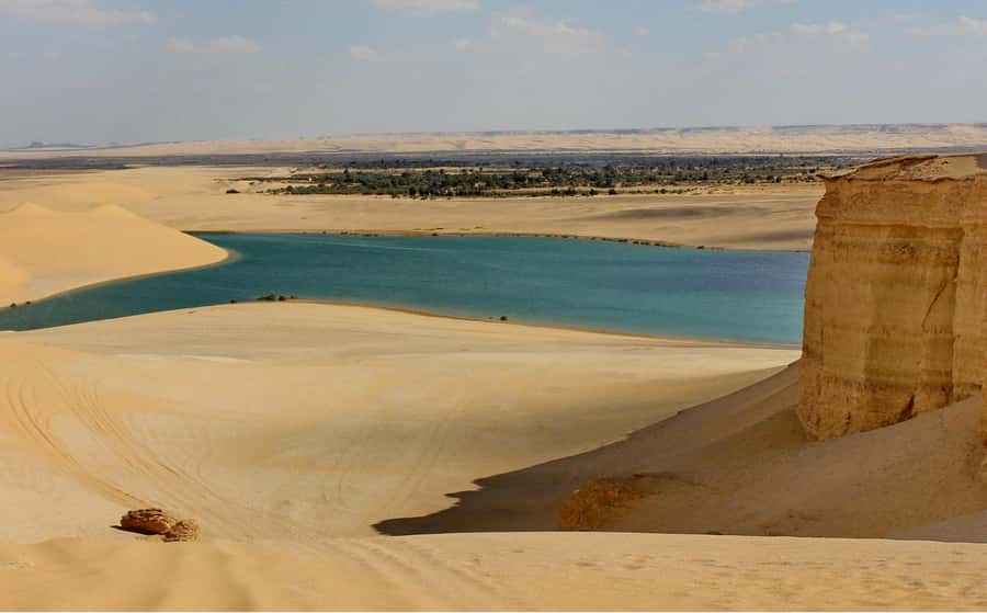 From Cairo: Full-Day Tour to El Fayoum - Why El Fayoum makes a good break from Cairo