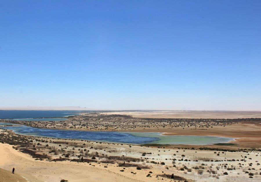 From Cairo: Full-Day Tour to El Fayoum - Wadi Al Hitan, where whales once lived
