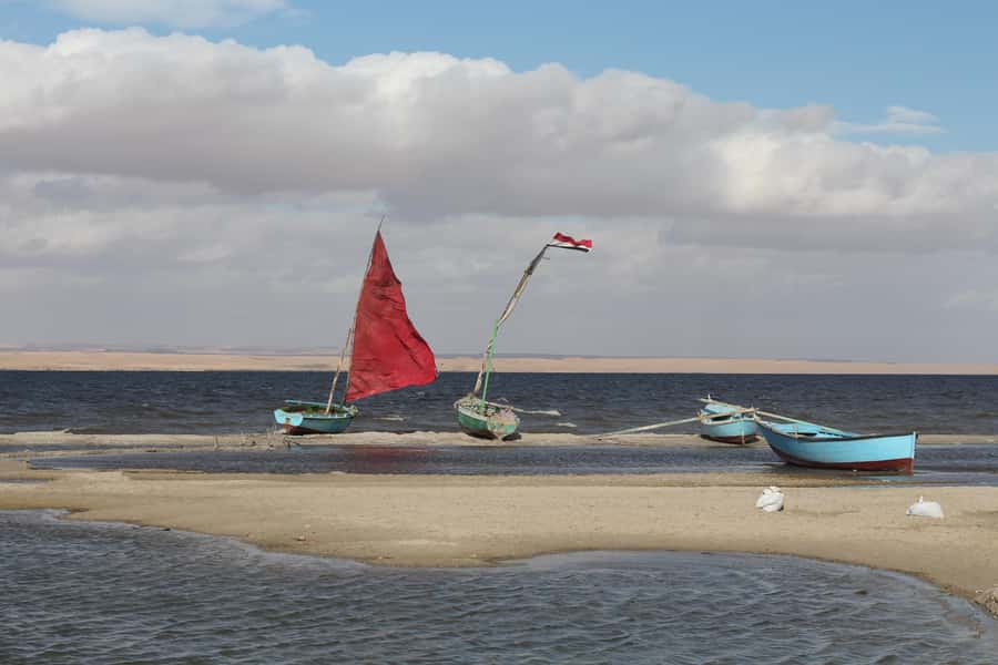 From Cairo: Full-Day Tour to El Fayoum - Magic Lake, sand dunes, and the 4x4 section