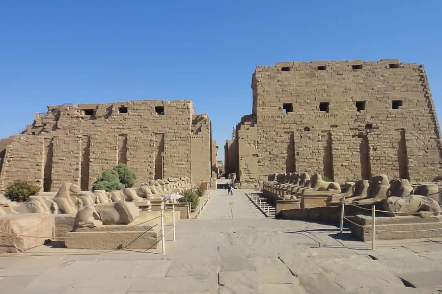 From Cairo: Private All-Inclusive Tour of Luxor by Plane - Who will enjoy this day trip most?