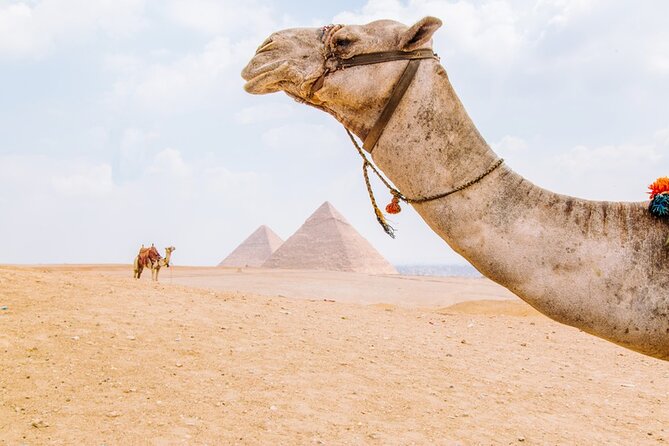 From Cairo: Private Crowd Free Half Day Pyramids Adventure - Why the 7:30 am start matters at Giza