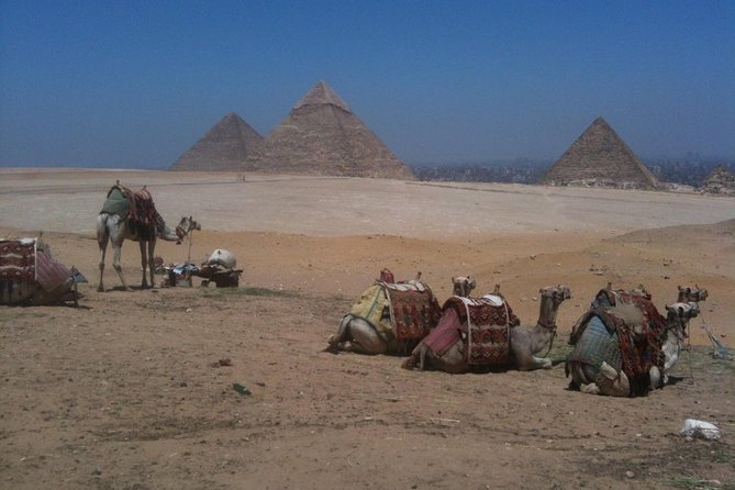 From Cairo: Private Crowd Free Half Day Pyramids Adventure - What the private guide adds