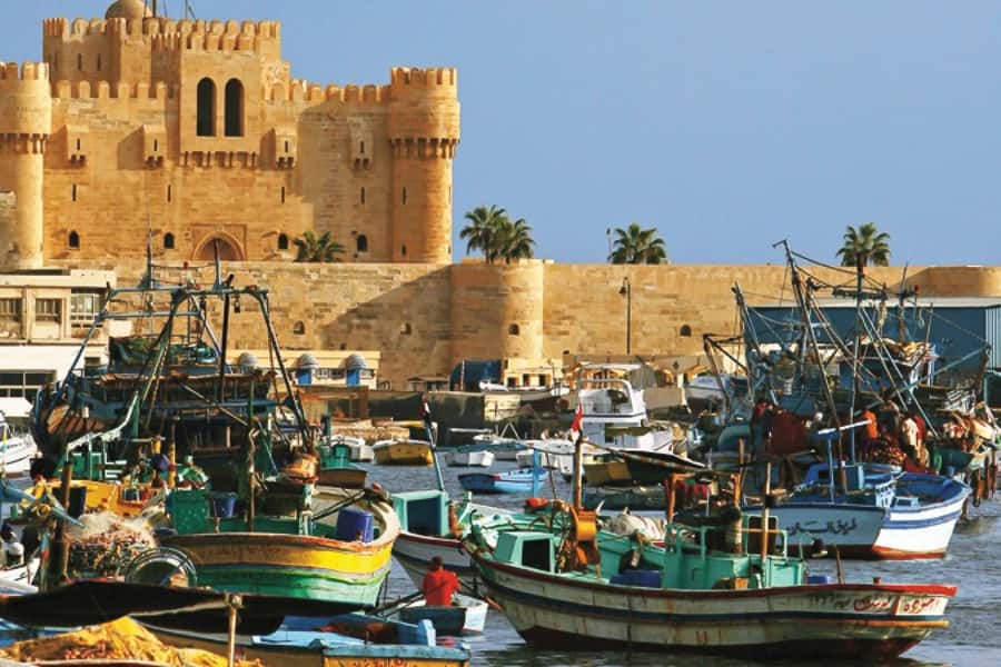 From Cairo: Private Full-Day Tour of Historical Alexandria - Pickup is the first test of the day