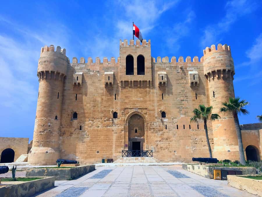 From Cairo: Private Full-Day Tour of Historical Alexandria - Qaitbay Citadel puts the sea at the center