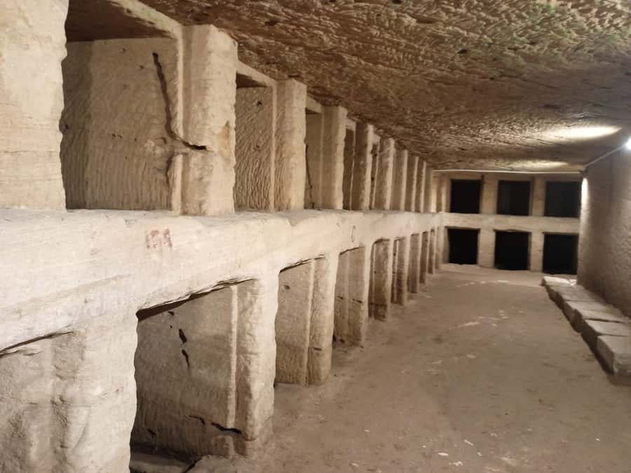 From Cairo: Private Luxurious Day Trip to Alexandria - Is $192 per person a fair price?