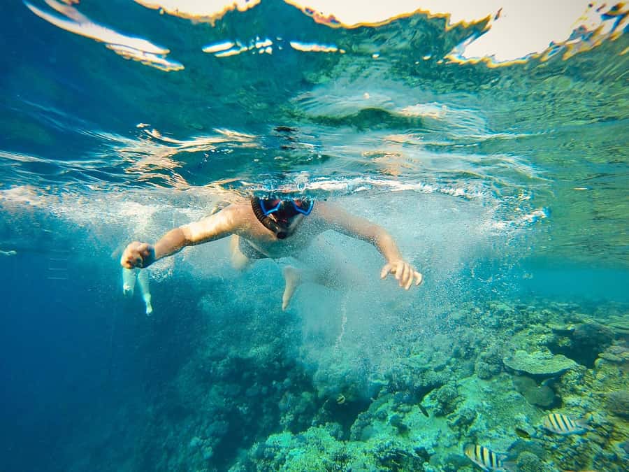From Cairo: Snorkeling Trip on Yacht with Lunch - From Cairo traffic to the Red Sea coast