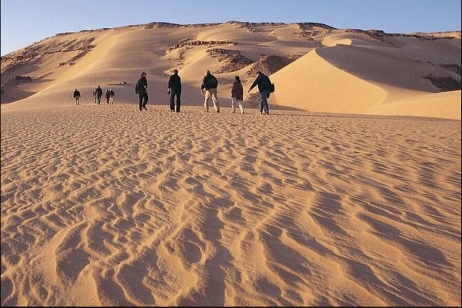 From Cairo: Whale Valley and Wadi El Rayan Waterfalls Tour - Key points to know before booking